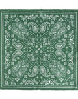Paisley Silk Bandana Scarf Sagebrush Green Scarves Lost Pattern NYC