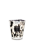 Max 16 Pearls Black Accessories - Candles & Diffusers Baobab Candles 