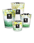 Max 10 Eden Forest Candles & Diffusers - Candles Baobab Candles