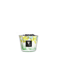 Max 10 Eden Forest Candles & Diffusers - Candles Baobab Candles