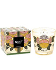 Speciality 3 Wick Candle 21oz Grapefruit Candles & Diffusers - Candles NEST