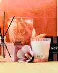 Classic Candle 8 oz Something Tropical Candles & Diffusers - Candles NEST