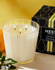 3 Wick Candle 21 oz. Grapefruit Accessories - Candles & Diffusers - Candles NEST