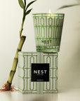 Specialty Classic Candle 8oz Bamboo Candles & Diffusers - Candles NEST