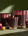 Classic Candle 8oz. Autumn Plum Accessories - Candles & Diffusers NEST