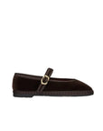 Pierre Truffle Flats - Ballet Flabelus