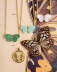 Freedom Stone Butterfly Necklace Amazonite Necklaces Jane Win
