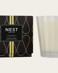 3 Wick Candle 21 oz. Grapefruit Accessories - Candles & Diffusers - Candles NEST