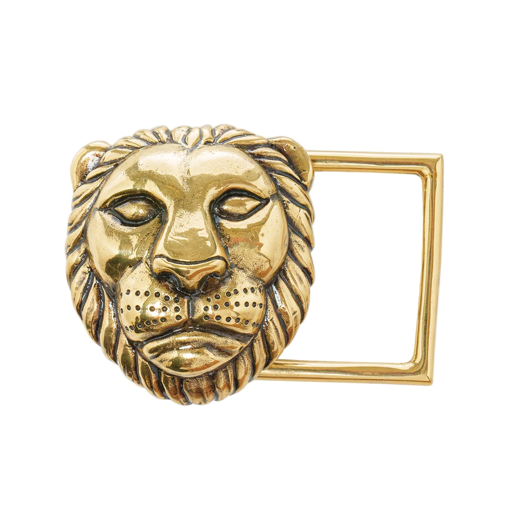 Lion Buckle Gold – Peter Kate
