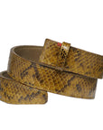 Brown snake skin belt with a gold buckle on a light gray background