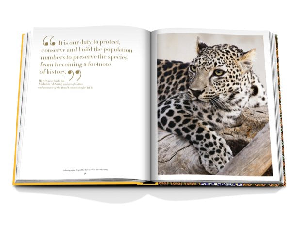 Arabian Leopard Book Accessories - Home Decor - Books Assouline 