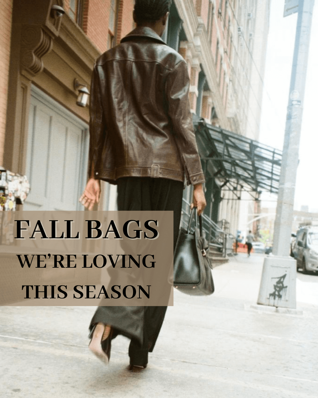 Our Top Picks 🏆 Fall Handbags!