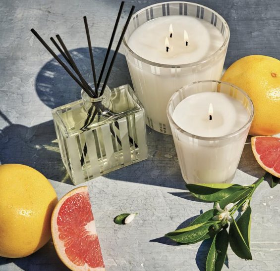 NEST Classic Candle 8 oz. Grapefruit Accessories - Candles & Diffusers NEST 