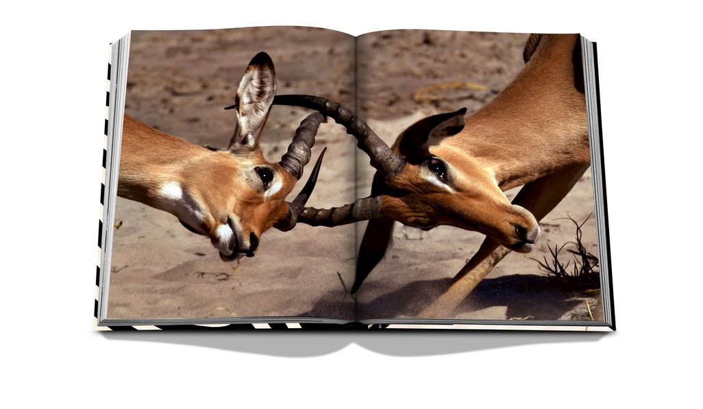 African Adventures: The Greatest Safari on Earth Accessories - Home Decor - Books Assouline 