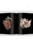 Shells By Paolo Portoghesi Home Decor - Books Harper Group 