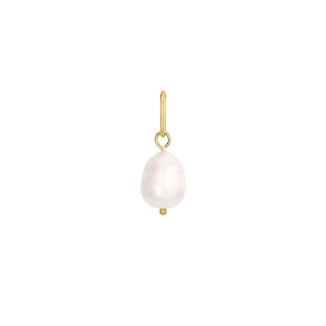 Pearl earring with gold hook on a white background