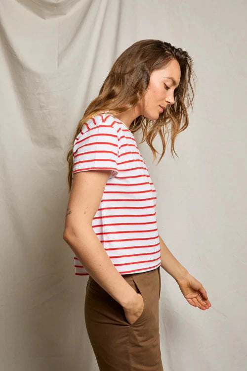 Jersey Stripe Tee Tomato Tops - Tees perfectwhitetee 