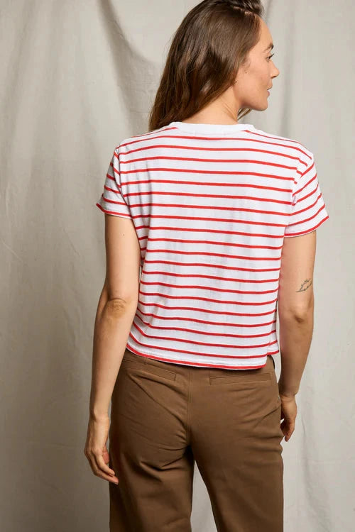 Jersey Stripe Tee Tomato Tops - Tees perfectwhitetee 