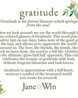 Gratitude Original Pendant 18" Drawn Link Necklaces Jane Win 