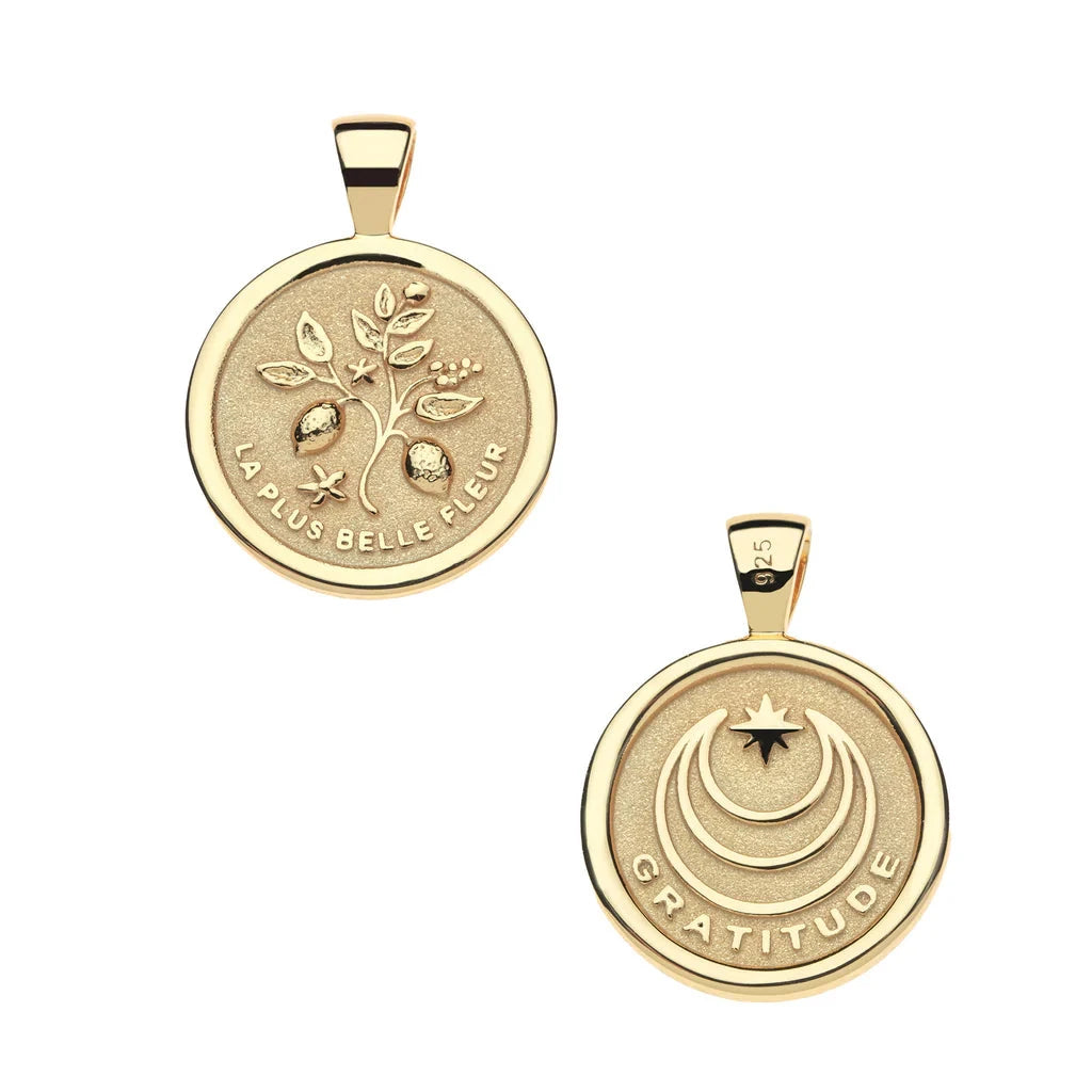 Gratitude Small Pendant Coin 16-18" Classic Rolo Necklaces Jane Win 