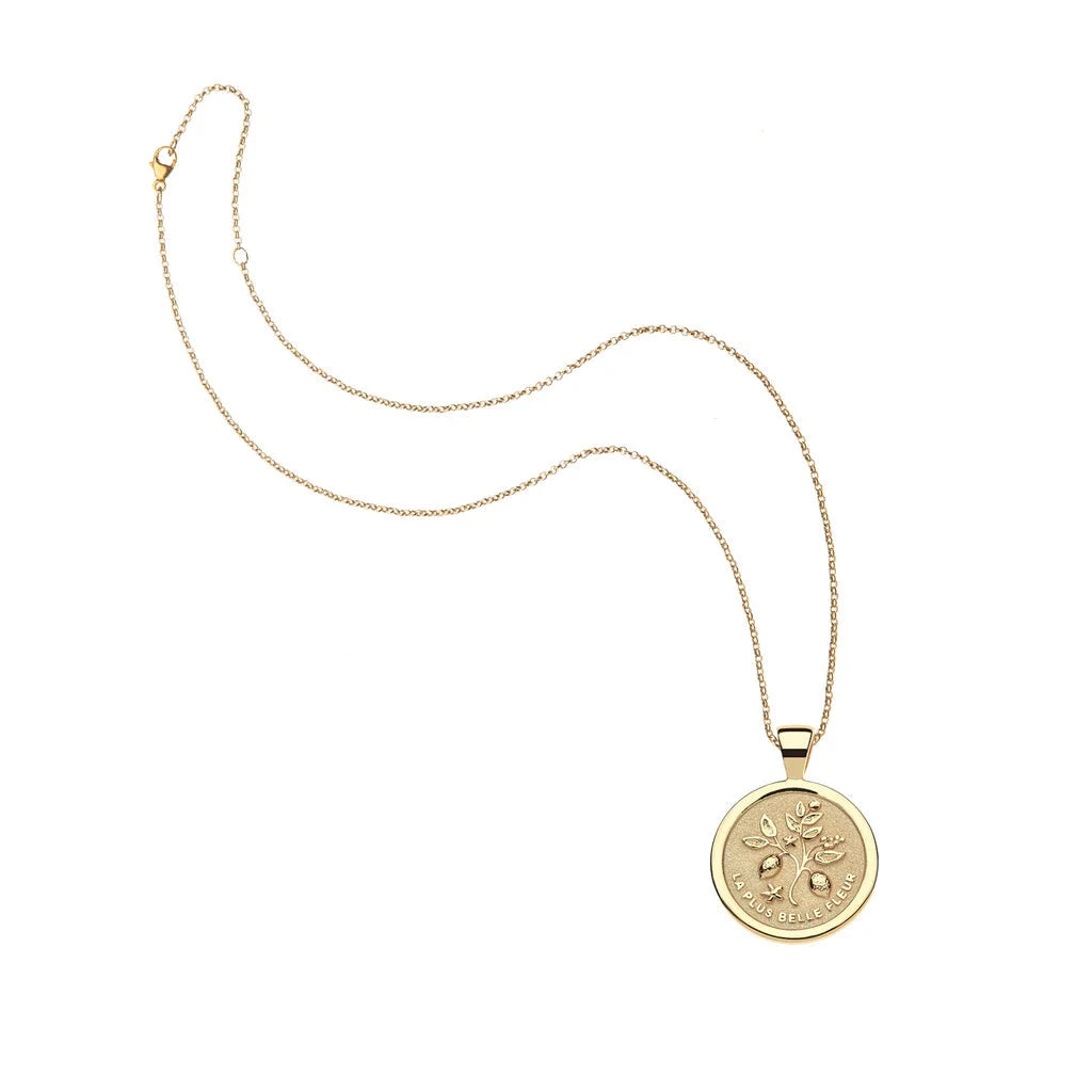 Gratitude Small Pendant Coin 16-18" Classic Rolo Necklaces Jane Win 