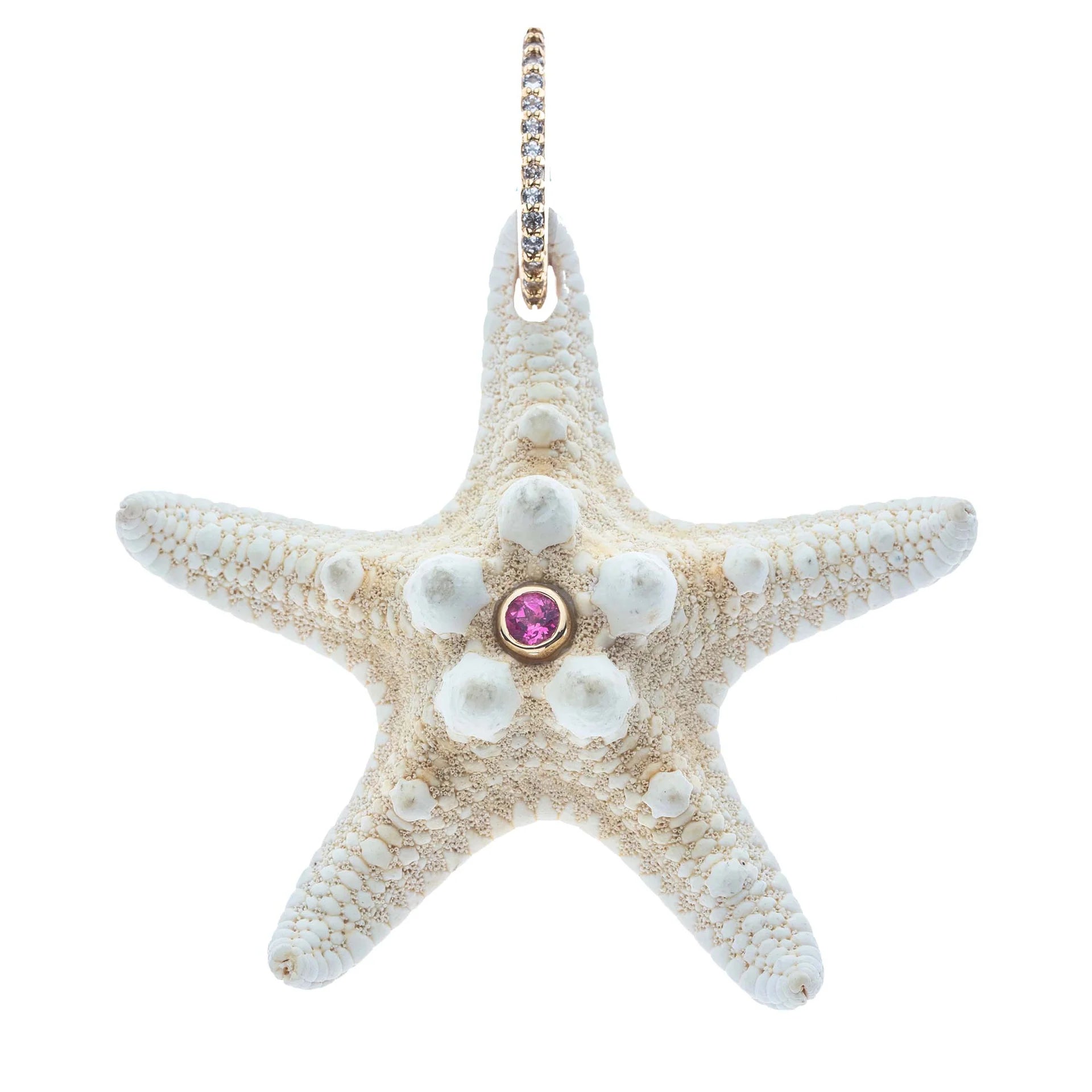 Inspiration Starfish Pendant Gold Neck Cuff Necklaces Jane Win 