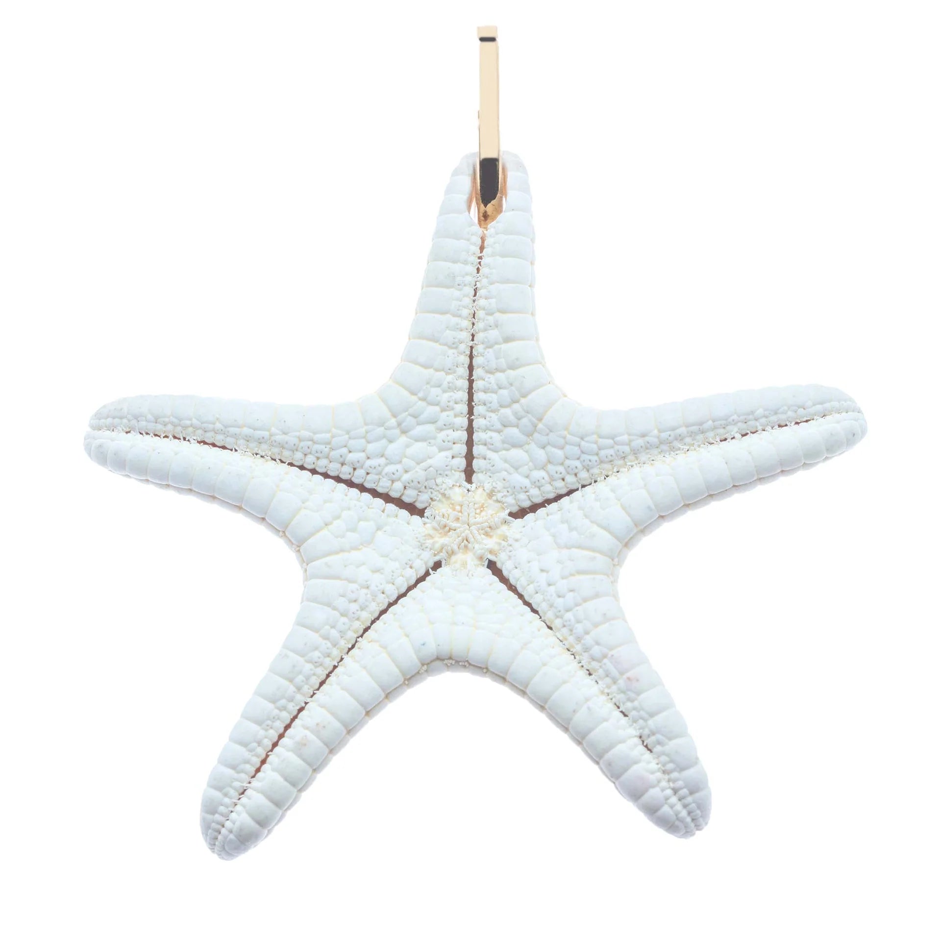 Inspiration Starfish Pendant Gold Neck Cuff Necklaces Jane Win 