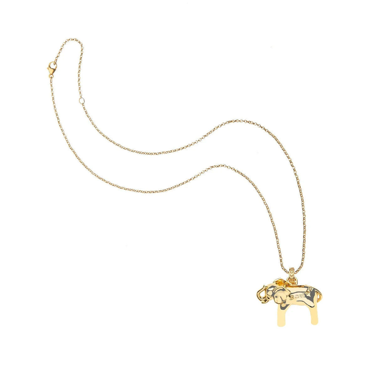 Lucky Bonne Chance Elephant Charm 16-18" Classic Rolo Necklaces Jane Win 