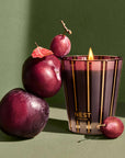 Classic Candle 8oz. Autumn Plum Accessories - Candles & Diffusers NEST 