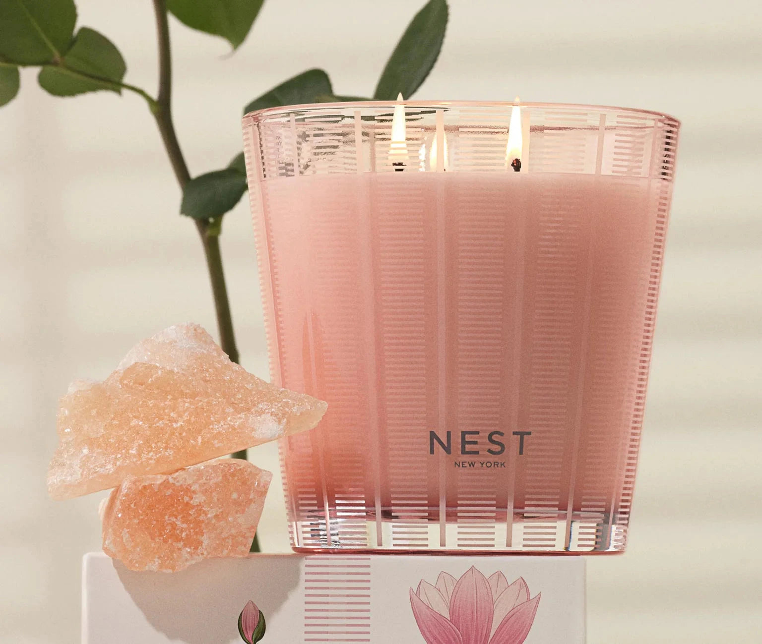 3 Wick Candle 21oz Himalayan Salt and Rosewater Candles & Diffusers - Candles NEST 