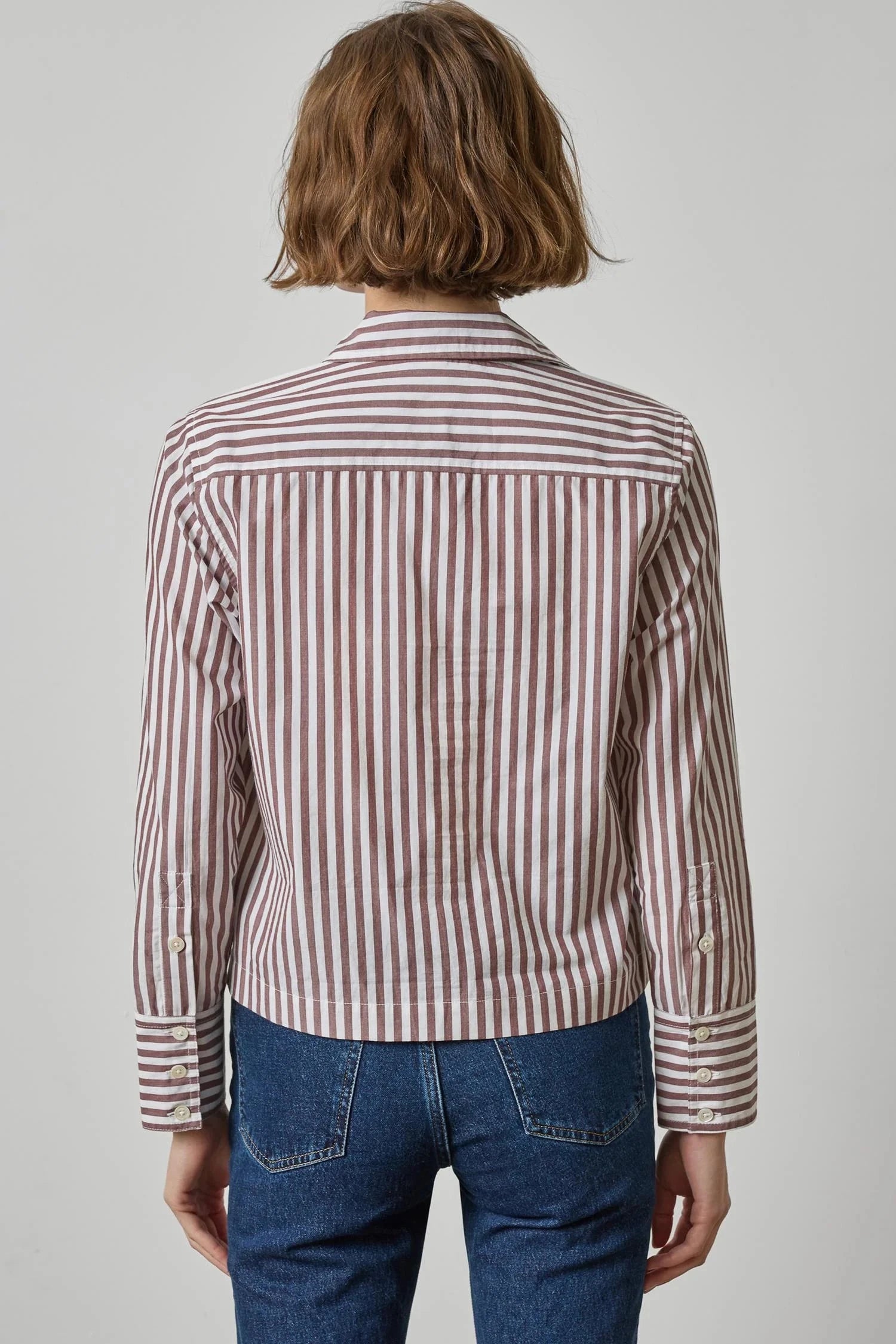 Straight Fit Short Button Down Chestnut Stripe Tops - Button Down Lilla P 