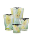 Max 10 Riviera Santo Sospir Candles & Diffusers - Candles Baobab Candles 