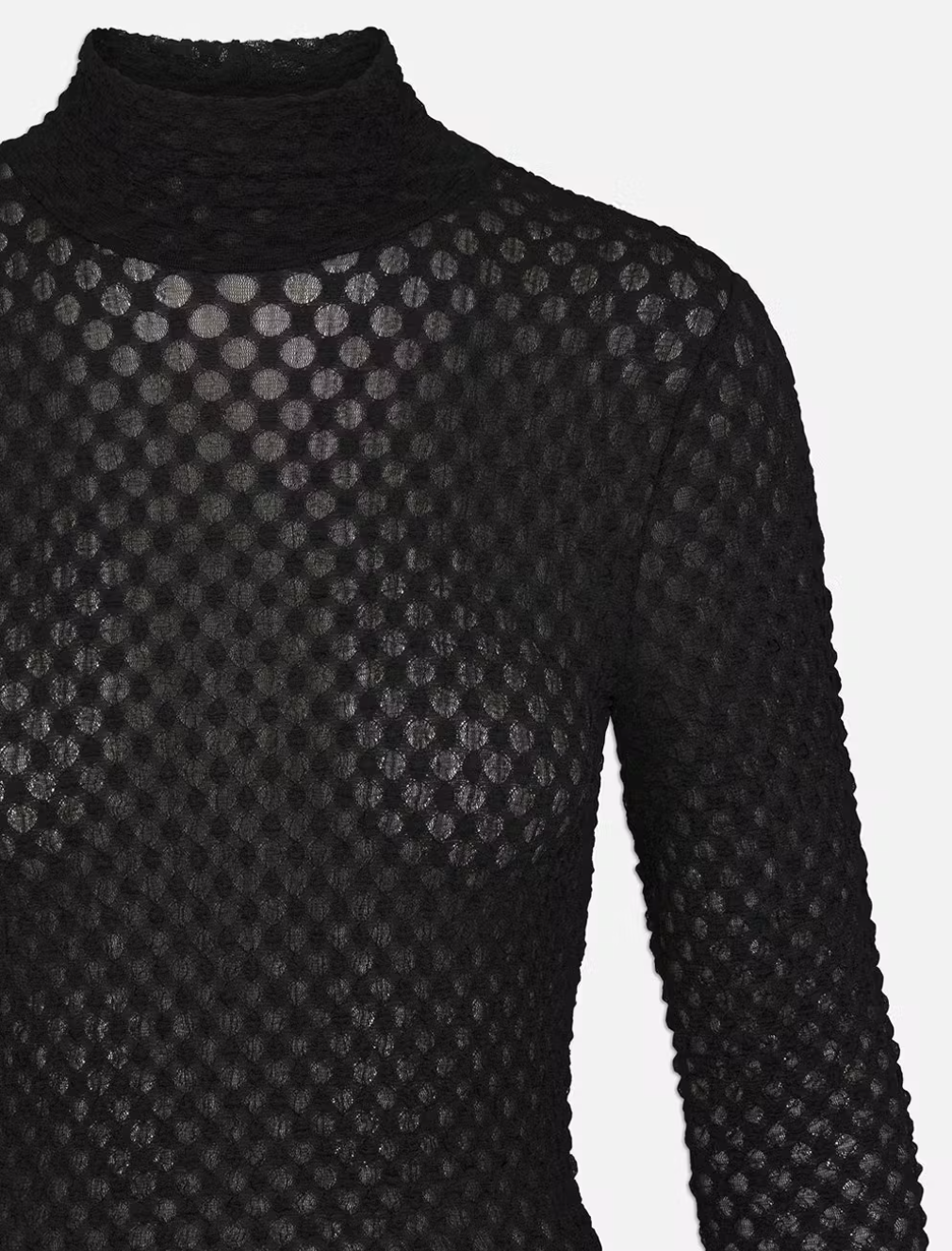 Mesh Lace Turtleneck Noir