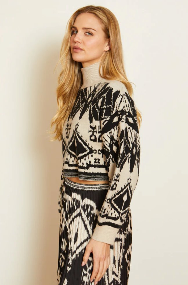 Maeva Sweater Ikat Tapestry Sweater - Turtleneck Caballero 