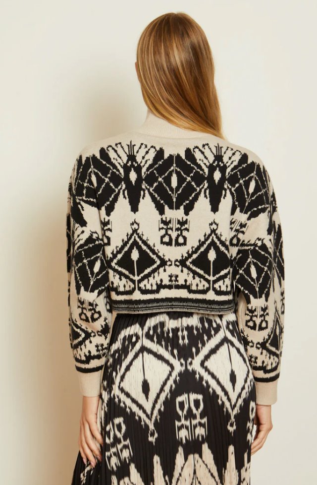 Maeva Sweater Ikat Tapestry Sweater - Turtleneck Caballero 