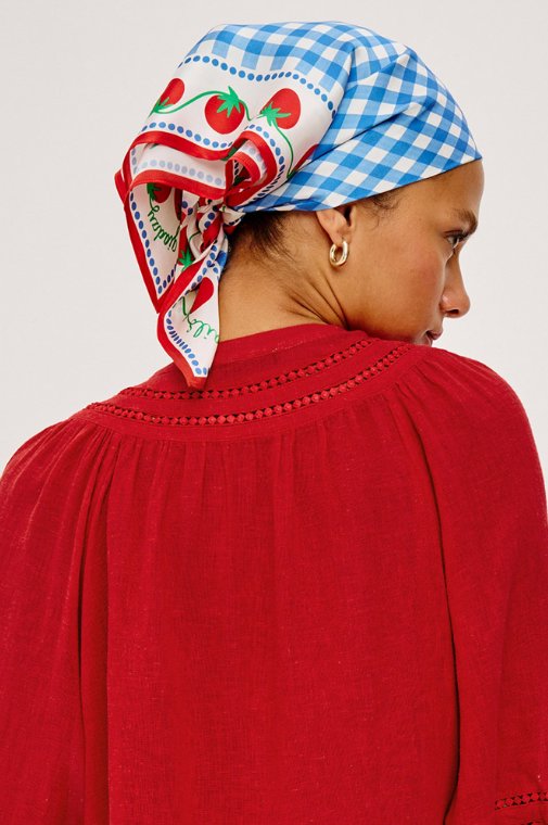 Giadzy X Rails Cosima Scarf Gingham Tomatoes Scarves Rails 