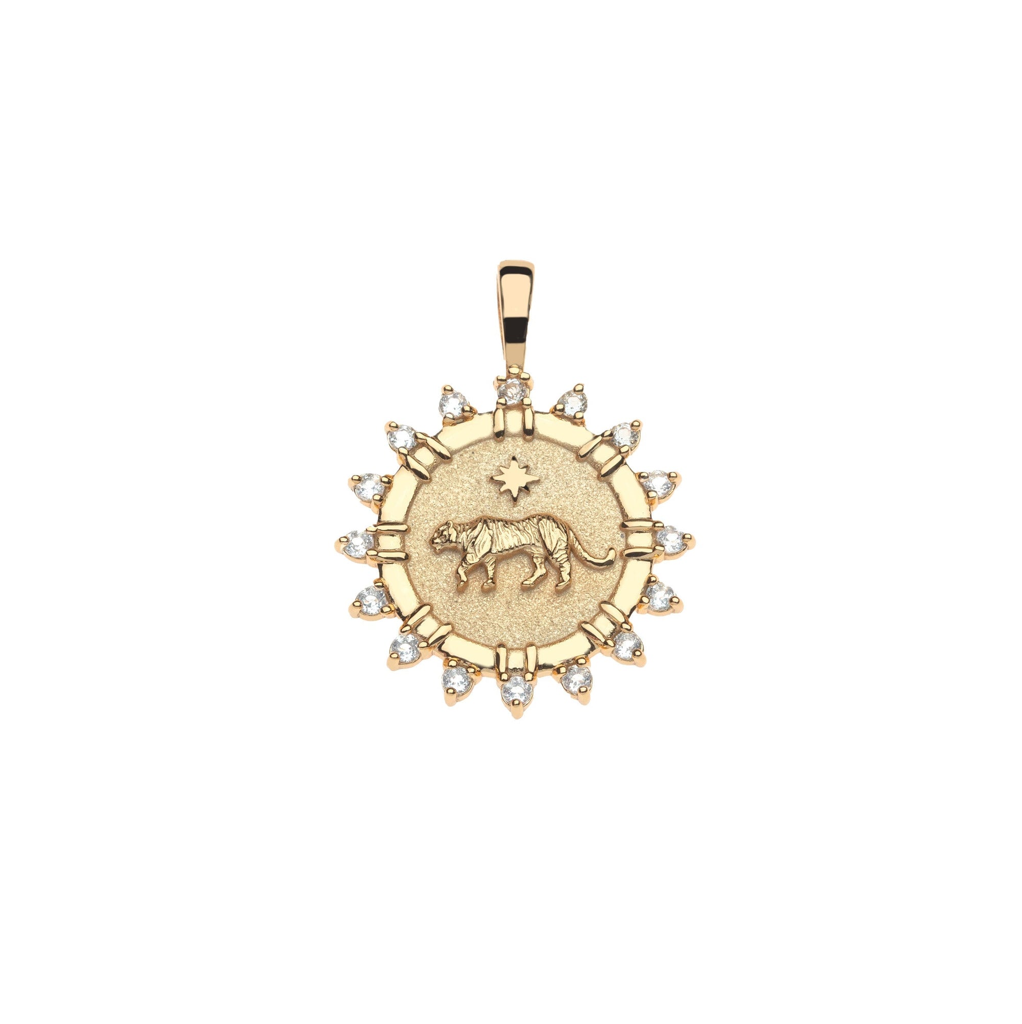 Strong Tiger Petite Embellished Coin Pendant 16-18" Classic Rolo Necklaces Jane Win 