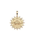 Strong Tiger Petite Embellished Coin Pendant 16-18" Classic Rolo Necklaces Jane Win 