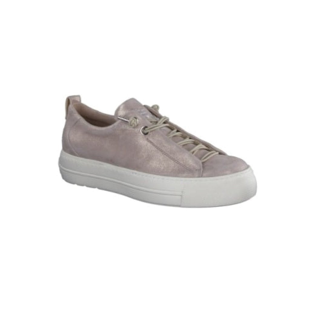 Faye Sneaker Cashmere Suede Metallic Shoes - Sneakers Paul Green 