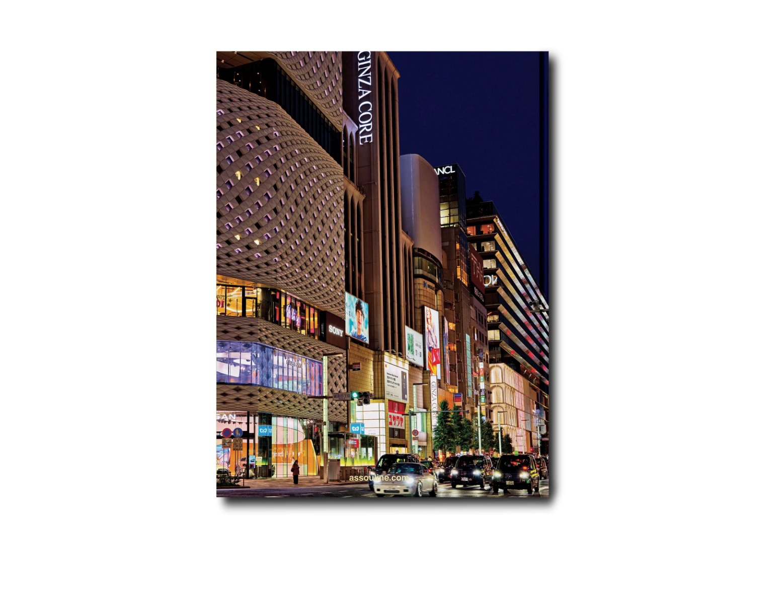 Tokyo Chic Accessories - Home Decor - Books Assouline 