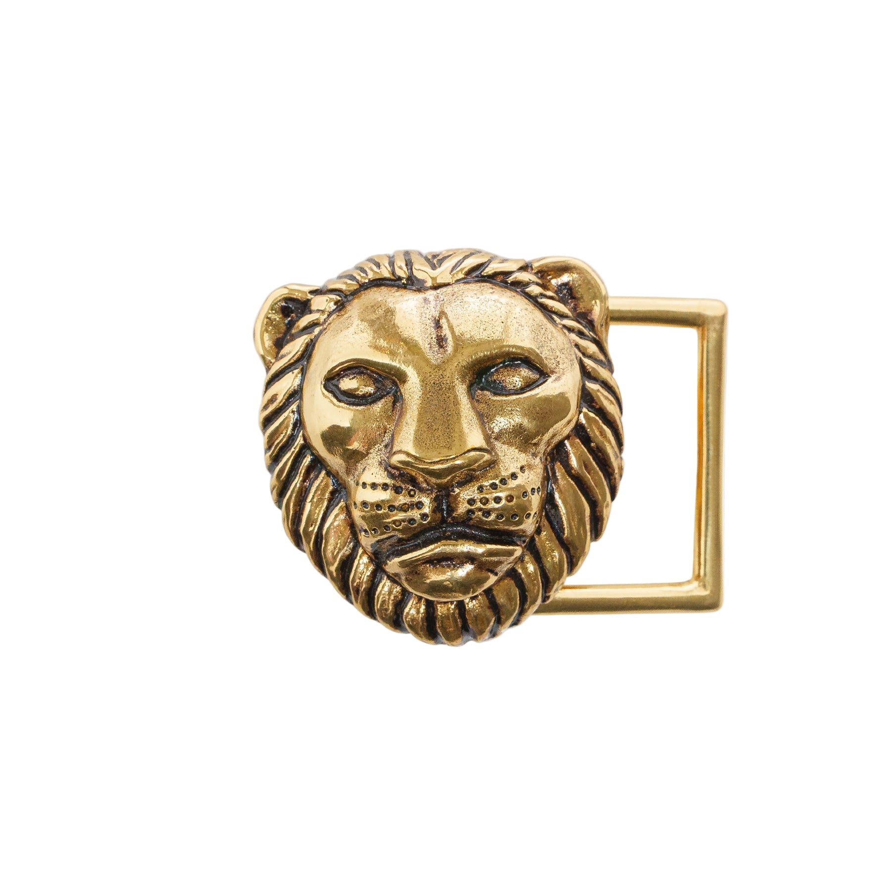 Gold lion head belt buckle on a white background