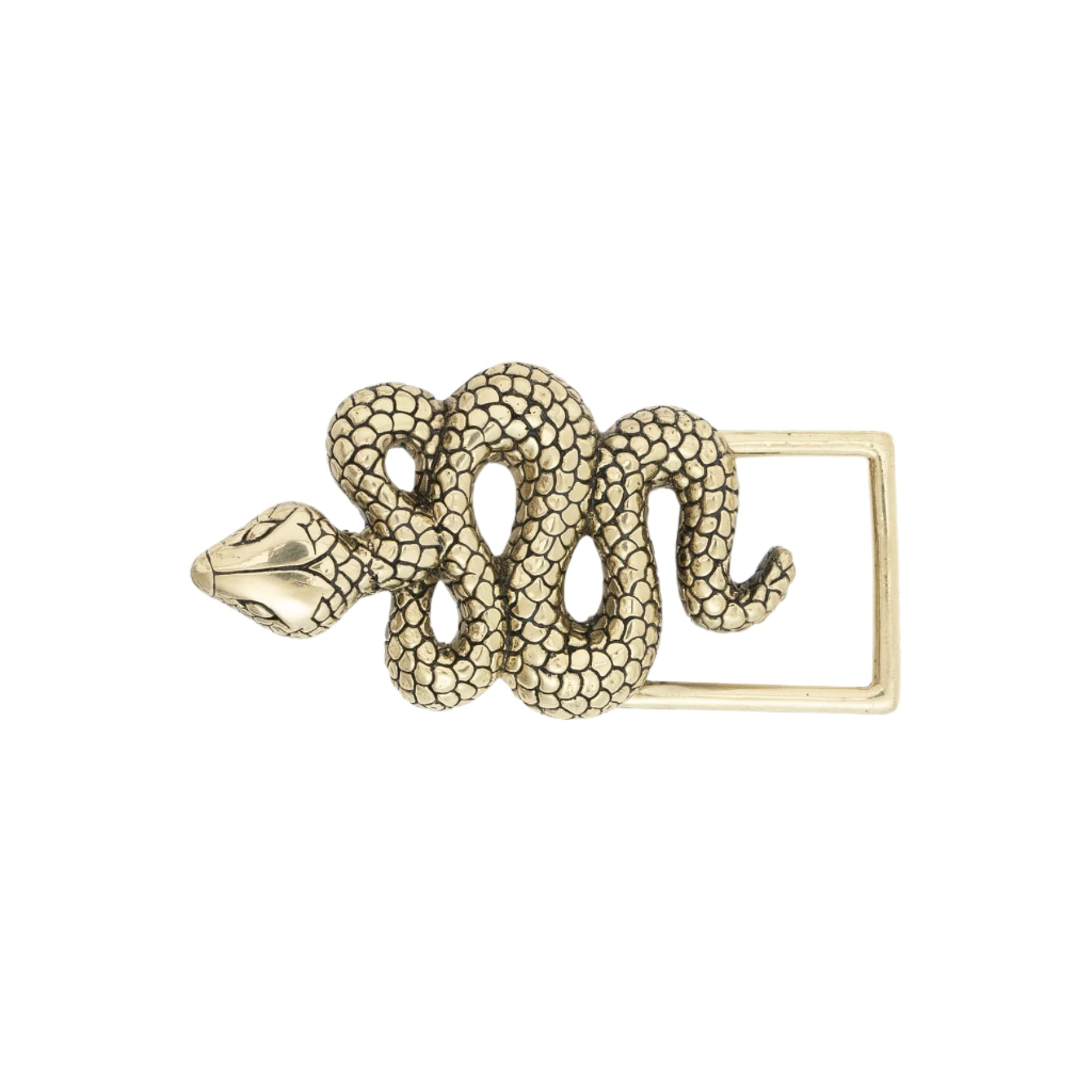 Snake Baby Buckle Gold Belts Claris Virot 