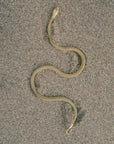 Serpent Choker Large Gold