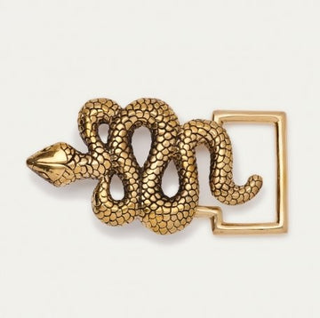 Snake Buckle Gold Accessories - Belts Claris Virot 