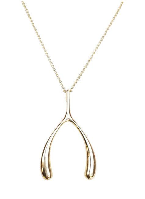 Lucky Gold Wishbone 18-20" Adjustable Chain Jewelry - Necklaces Jane Win 